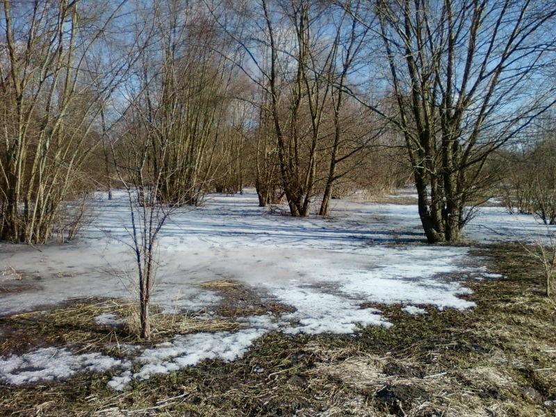 Lodowiec ;)