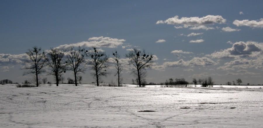 Na większości trasy takie krajobrazy z lodowo-śniegowymi polami skąpanymi w słońcu miałem
