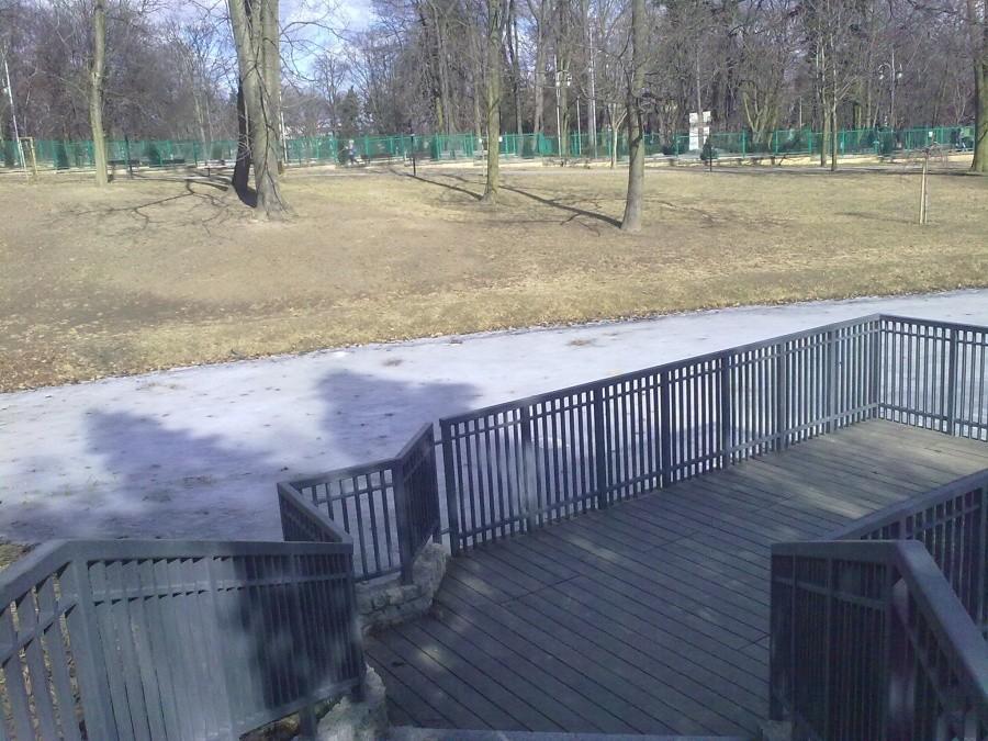 Zamarznięty staw