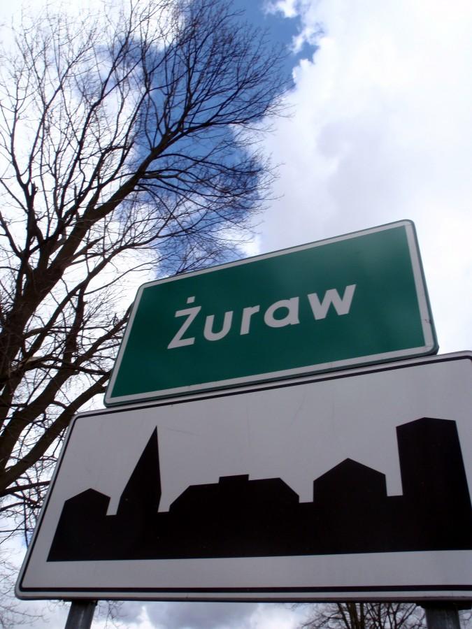 Żuraw też wróbel