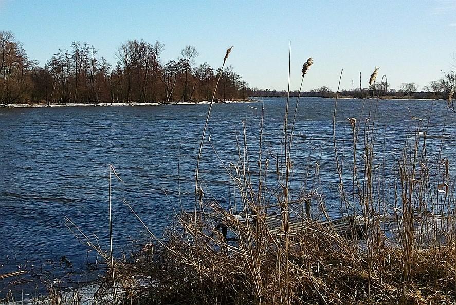 Odra