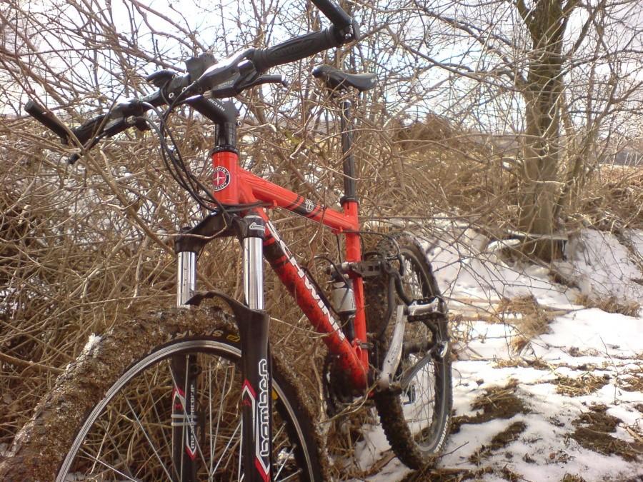 Schwinn Danielastego