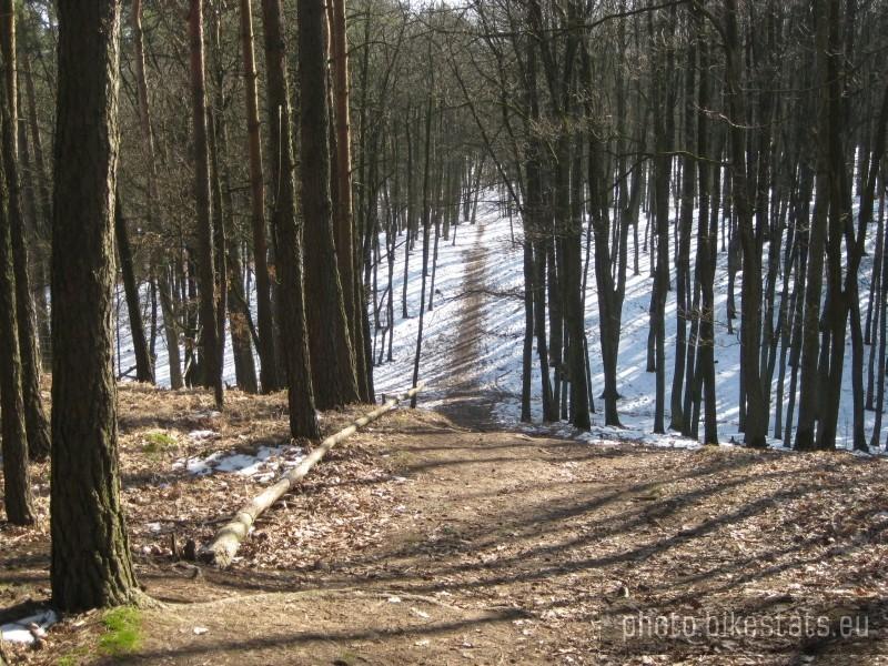 Dziewicza Góra
