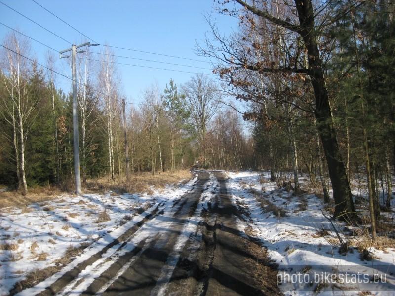 Śnieżno - błotne ścieżki w terenie Puszczy Zielonki.