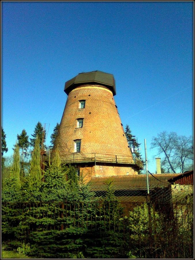 Wiatrak holenderski. Cmentarz Centralny.