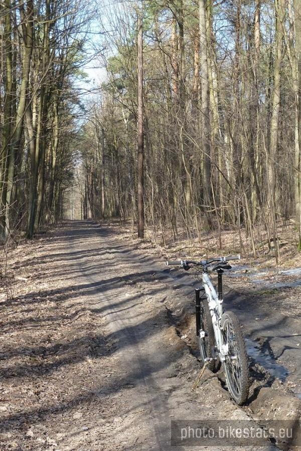 Błotne koleiny? Arsena to nie rusza.