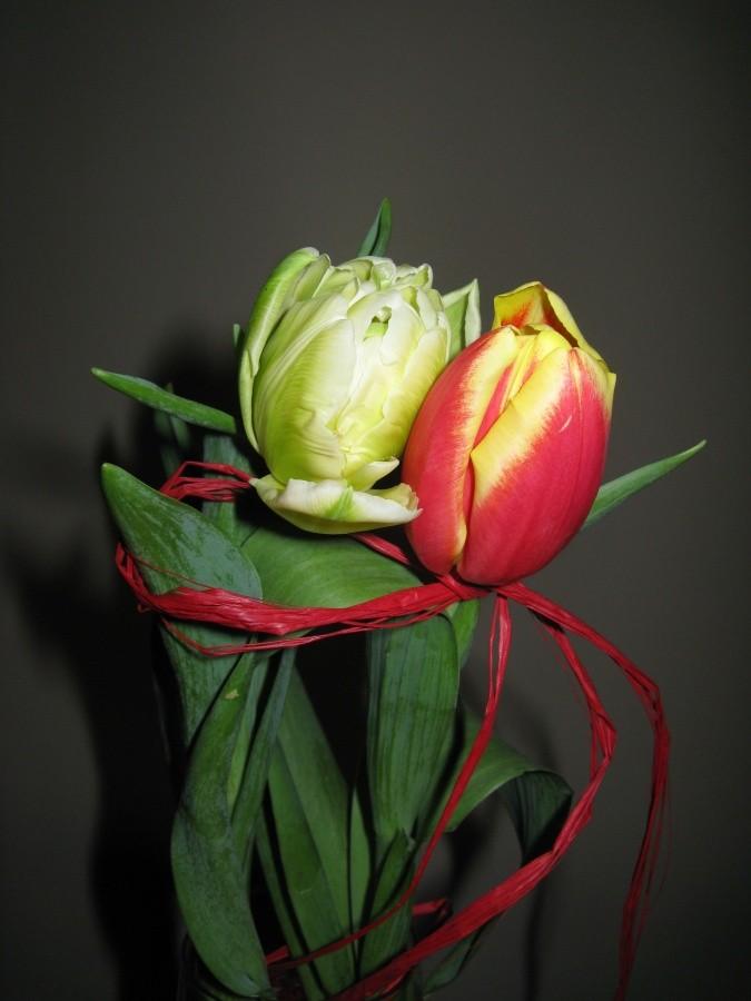 Tulipany