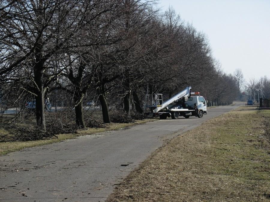 Ścieżka rowerowa Wilanów - Powsin
