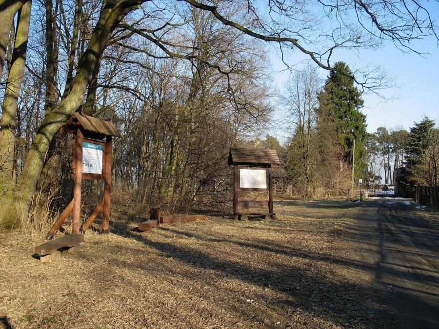 Las Kabacki - przystanek ścieżki edukacyjnej