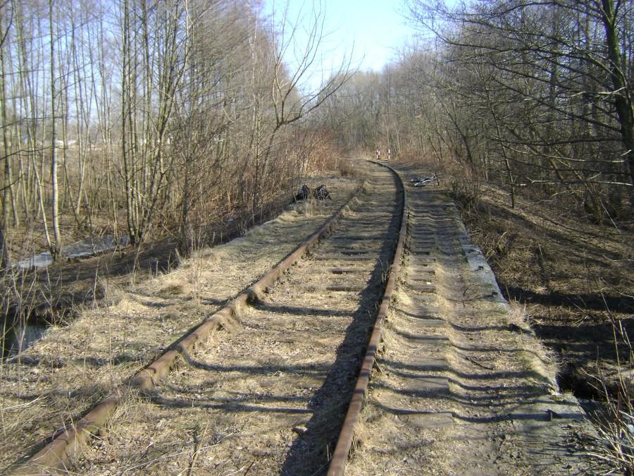 Mostek nad rzeką Czarną na linii kolejowej 53 Tomaszów-Spała