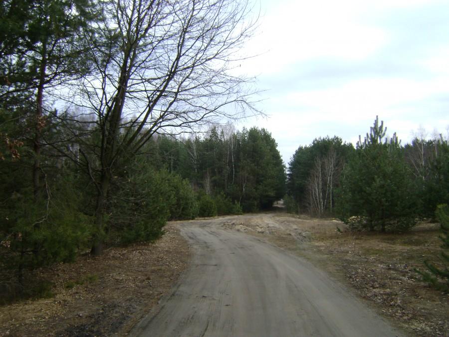Podoba