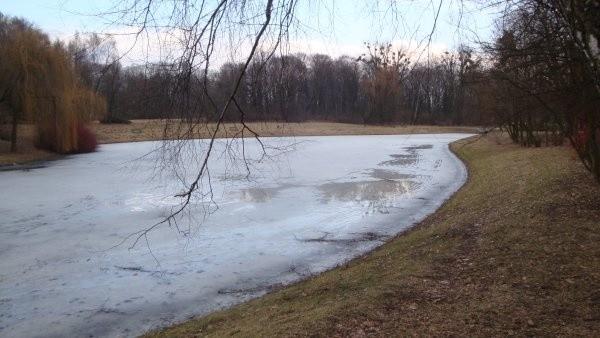 Zdrowie - Polesie (park)