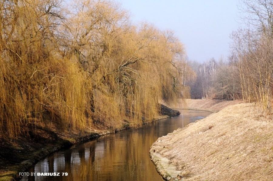 Sosnowiec - Rzeka Brynica
