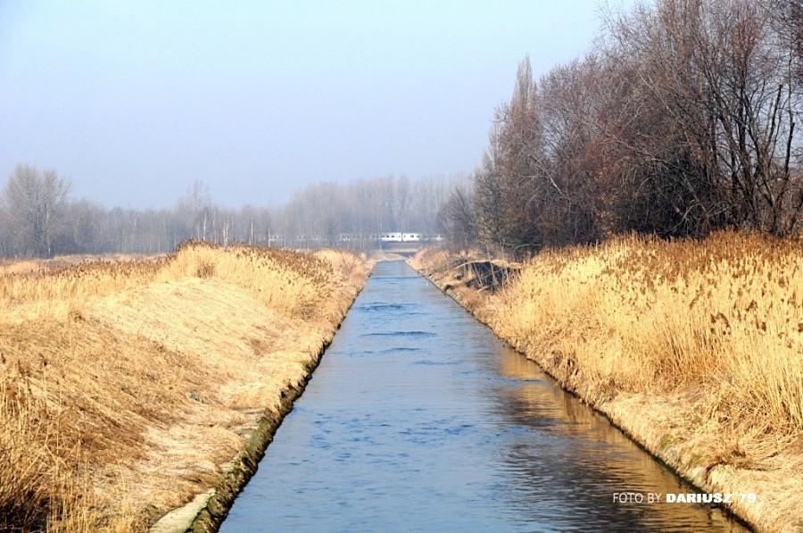 Sosnowiec Naftowa - rzeka Brynica