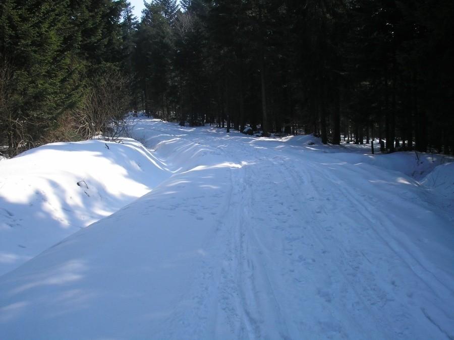 zasnieżony szlak niebieski