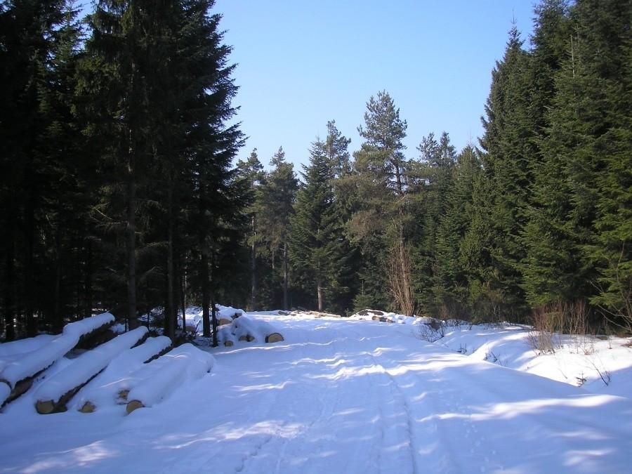 zaśnieżony szlak