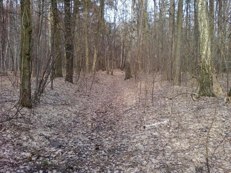 Jakaś ścieżka