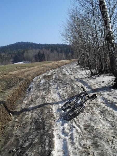 Śnieżny początek zielonego szlaku