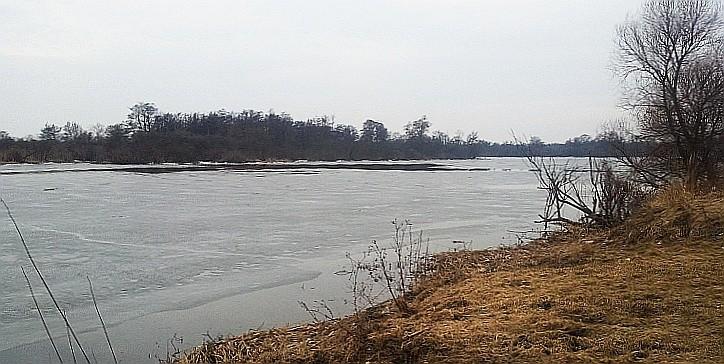 Kanał Leśny (Odyńca)