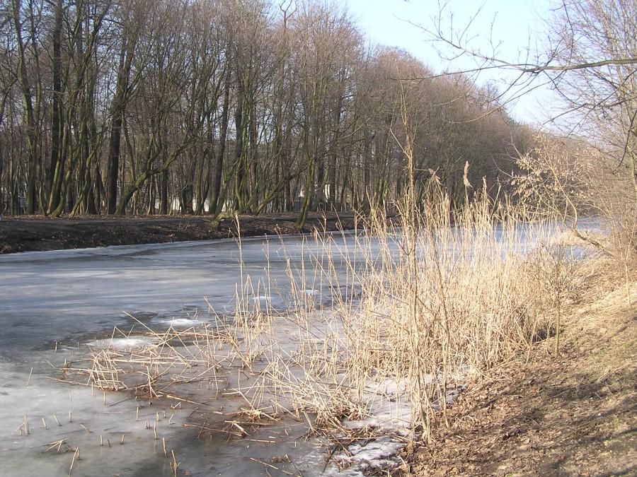 Nad Kanałem Bydgoskim