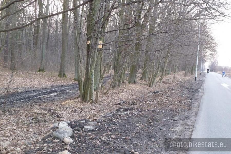 Błoto. Coraz więcej błota.