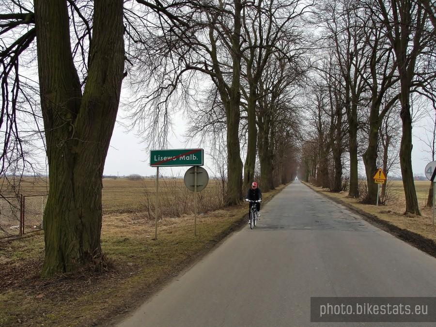 Na drodze do Lisewa Malborskiego.