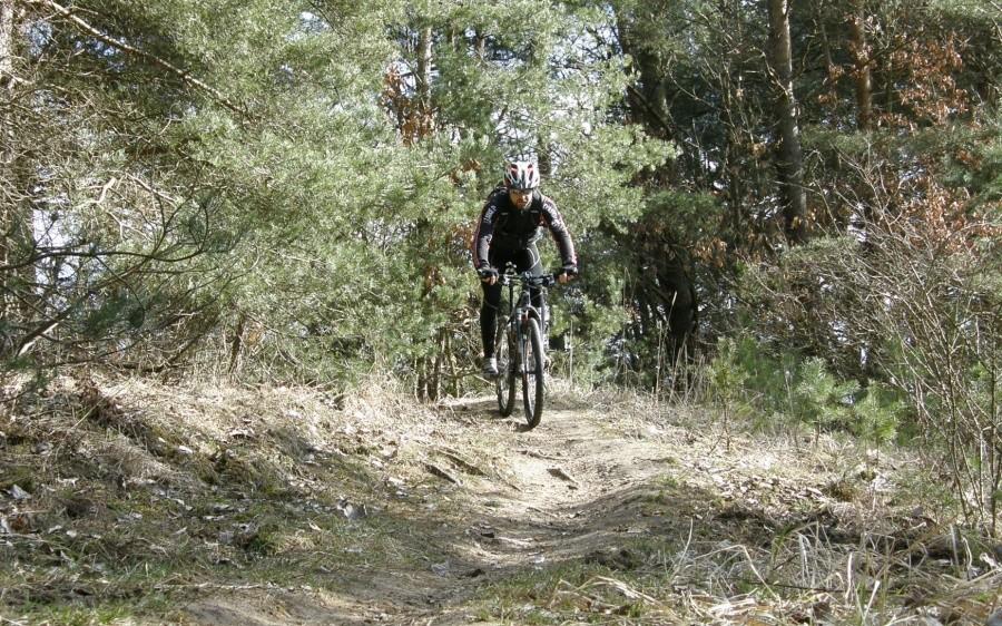 ... i singletrackowym zjeździe sztywniak radzi nieźle :)