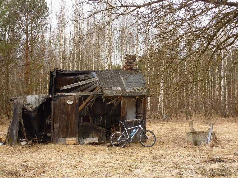 Resztki jednej z wielu zlikwidowanych wsi w Kampinoskim PN (Wyględy Górne-Trytew)