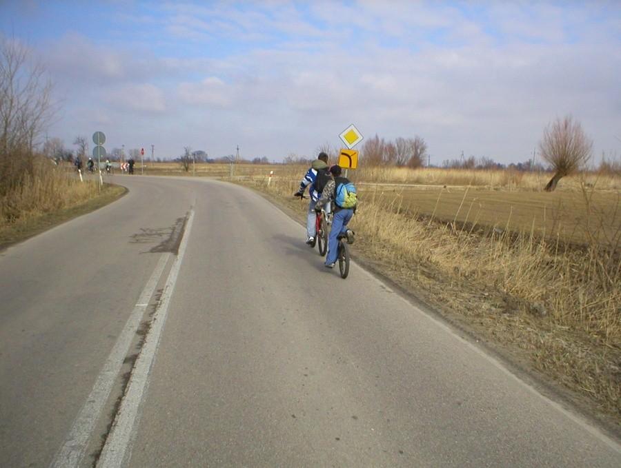 STEGNA 2011-NA TRASIE
