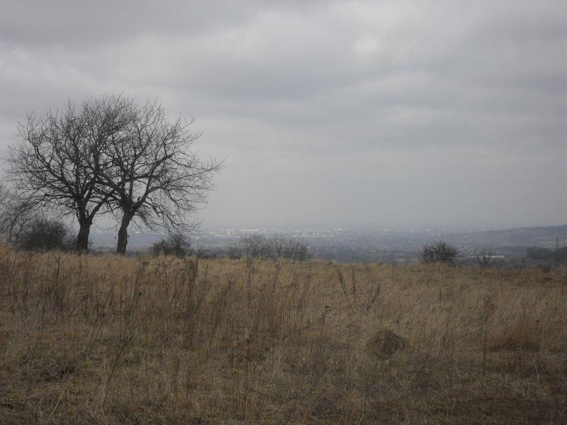 Rzeszów za mgłą..