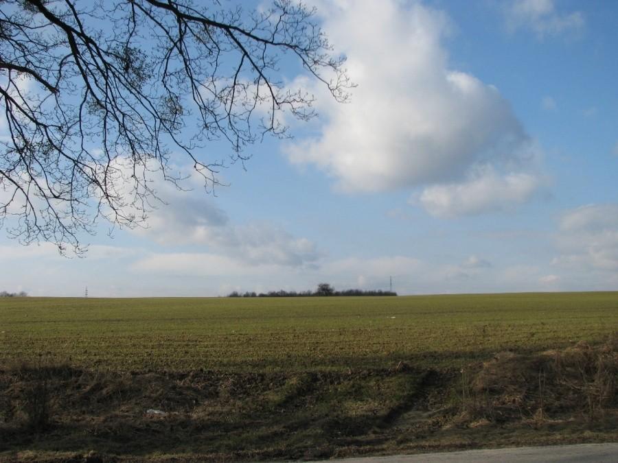 Wiosna...