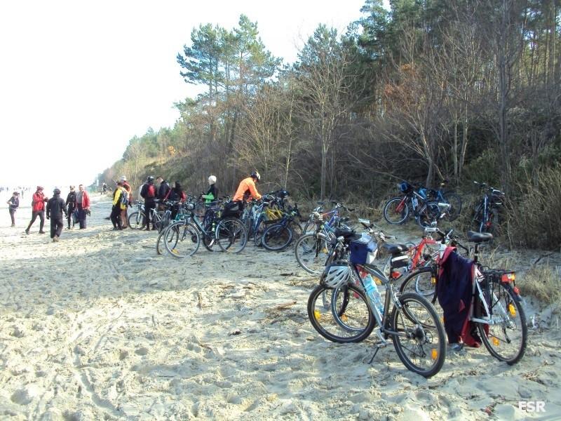 Rowerowa Stegna 2011