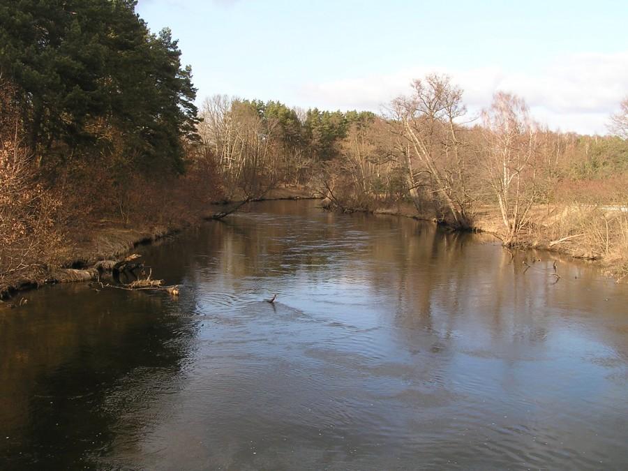 Wiosenny nurt Brdy w Opławcu