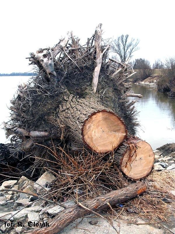 Tu była wielka woda (2)