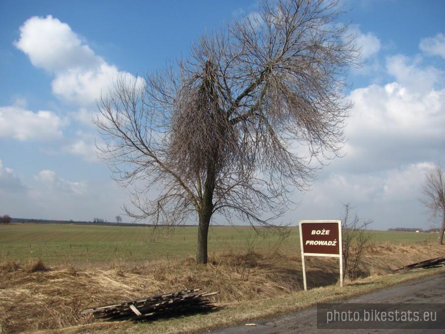 gdzieś w okolicach Kotulina