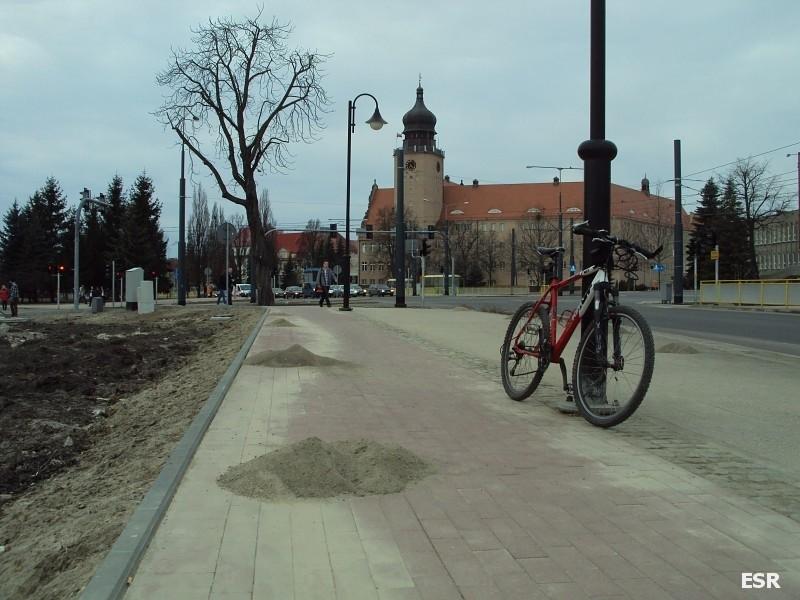 Wiosna na ścieżce rowerowej.