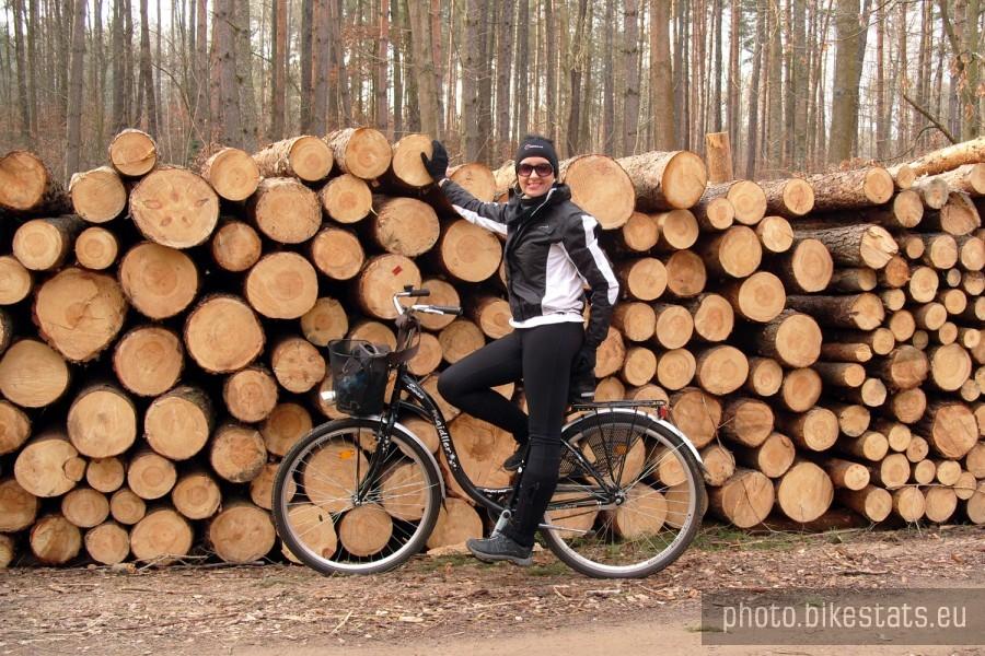 Lubiszewski las....