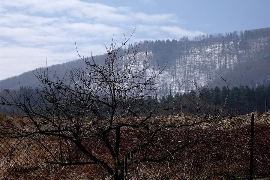 W górach śnieg