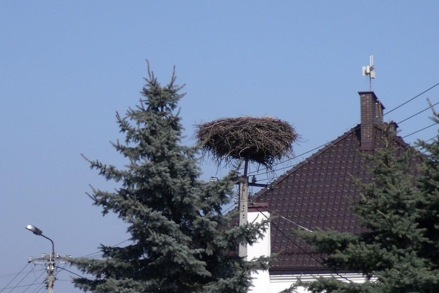 Puste gniazdo