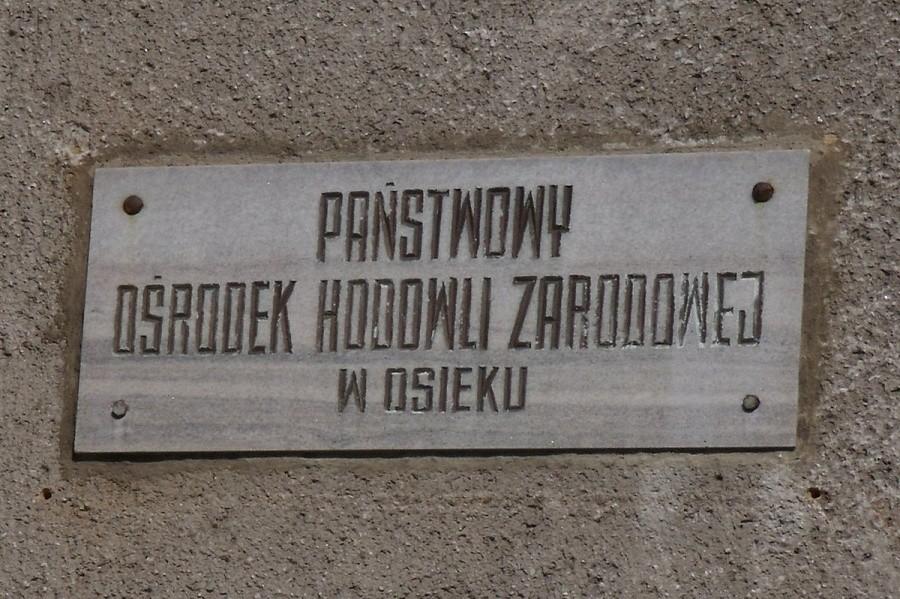 No to sobie zagospodarowali