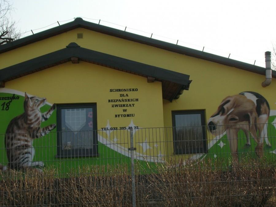 Schronisko dla bezdomnych zwierząt w Bytomiu