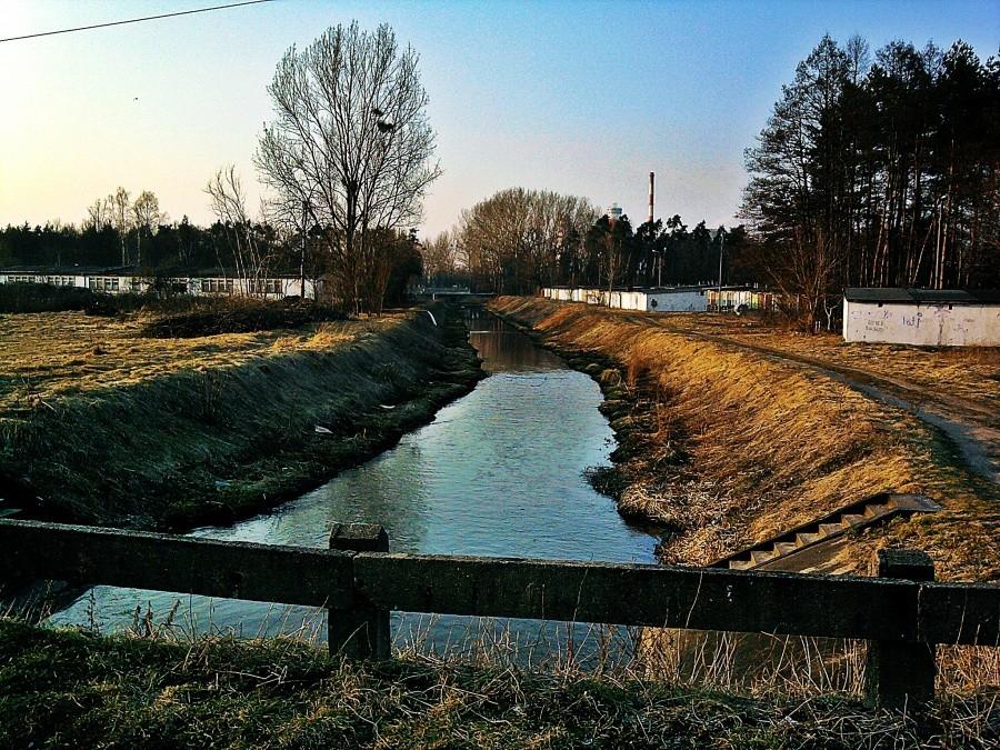 Koło parku naukowego