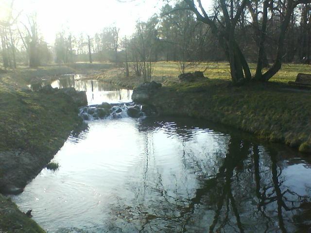 świerklaniec