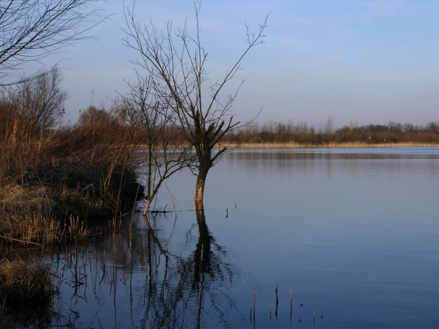 zbiornik wodny