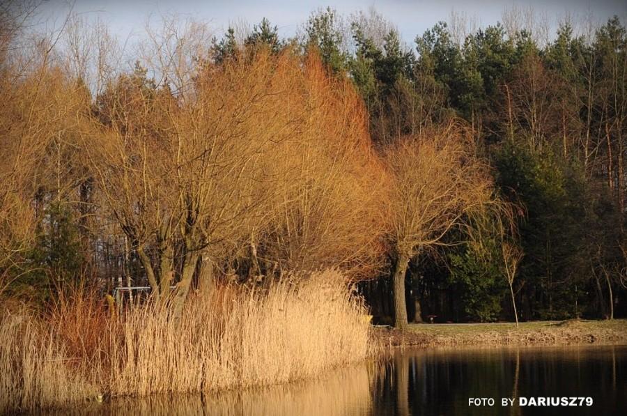Park Leśna Sosnowiec - Kazimierz Górniczy