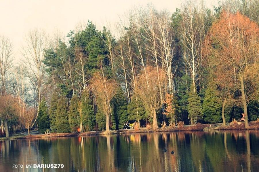 Park Leśna Sosnowiec-Kazimierz Górniczy