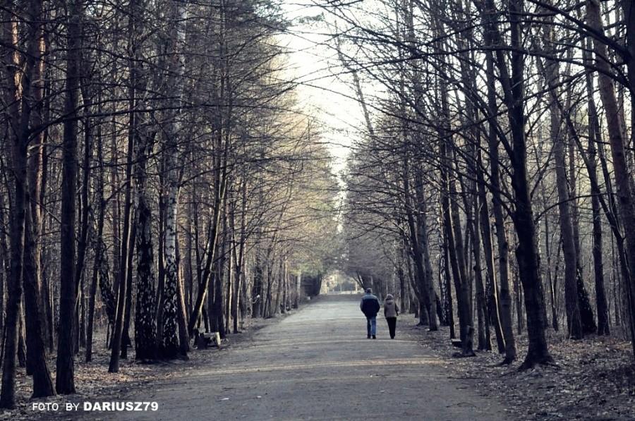 Park Leśna Sosnowiec - Kazimierz Górniczy