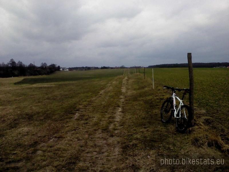 Łąki w Dębogórze.