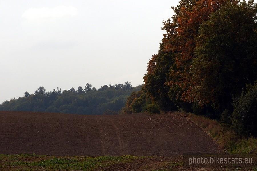 Pola jesienią...