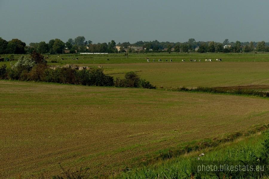 Żuławskie pola